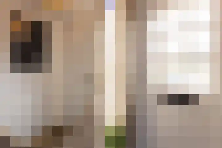 Lijsterstraat 43 Neede thumbnail 17