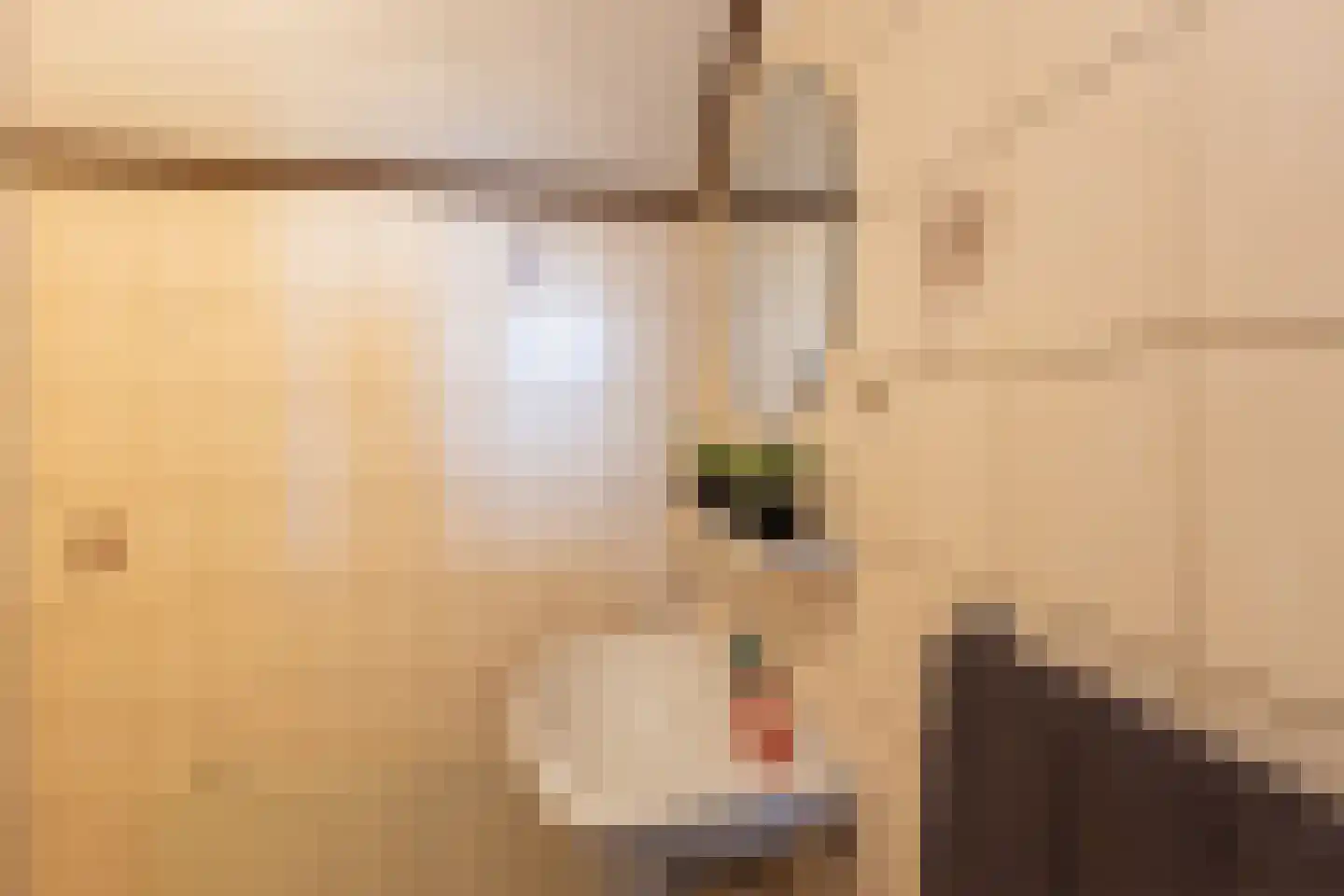 Lijsterstraat 43 Neede thumbnail 25