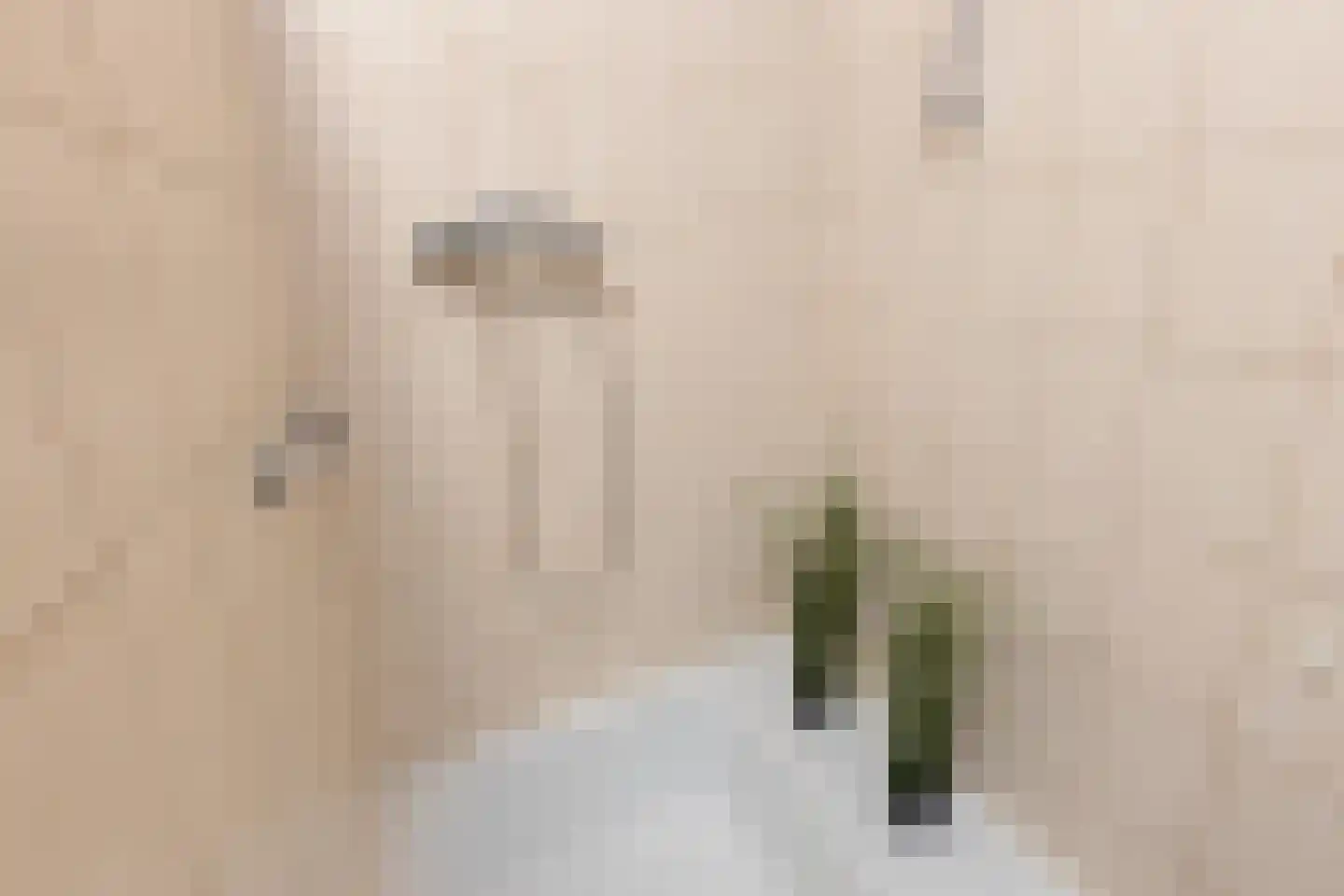 Lijsterstraat 43 Neede thumbnail 26