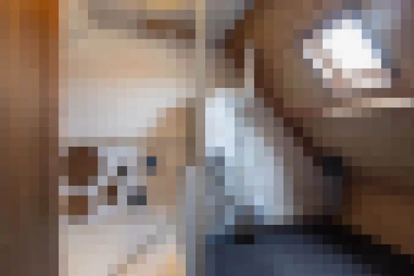 Lijsterstraat 43 Neede thumbnail 35