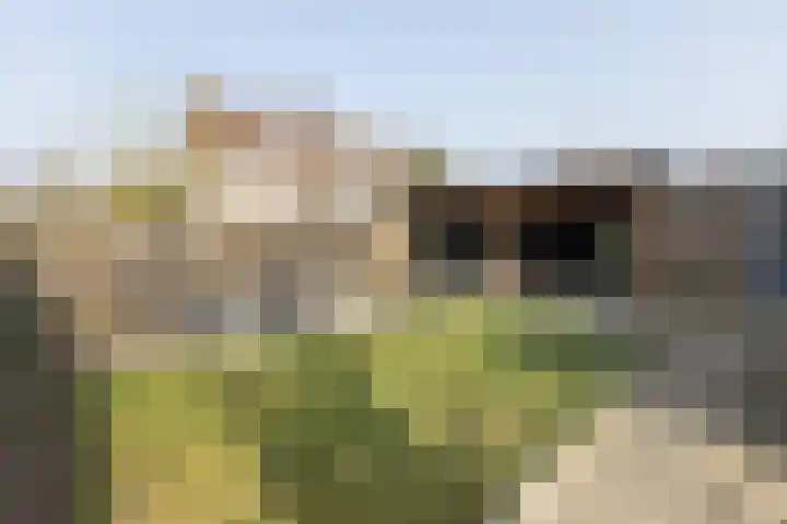 Lijsterstraat 43 Neede thumbnail 42