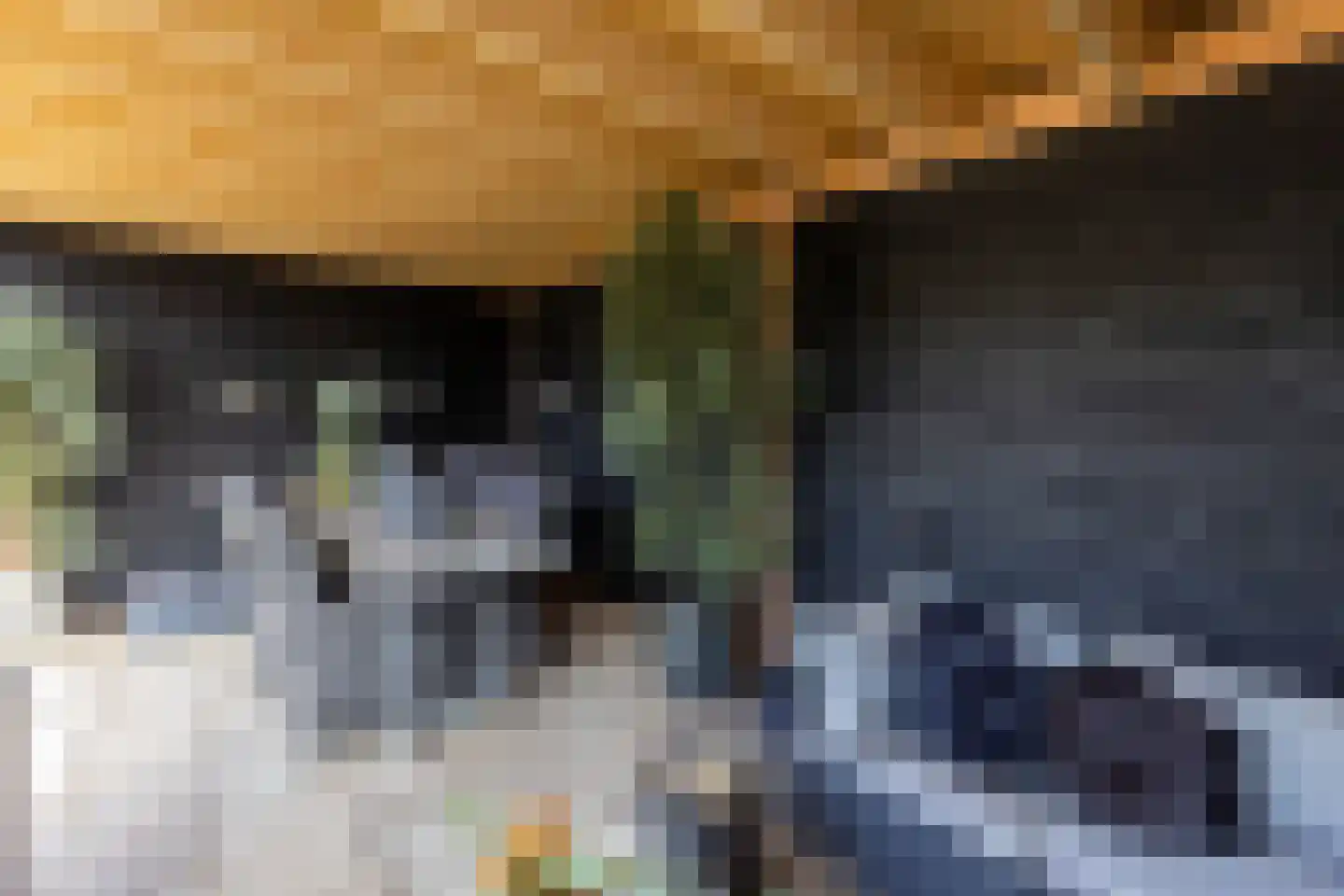 Lijsterstraat 43 Neede thumbnail 43