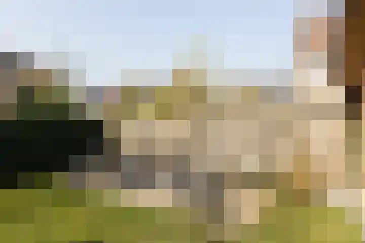 Lijsterstraat 43 Neede thumbnail 45