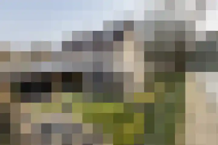 Lijsterstraat 43 Neede thumbnail 47