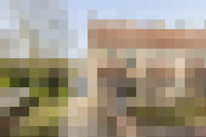 Lijsterstraat 43 Neede thumbnail 50