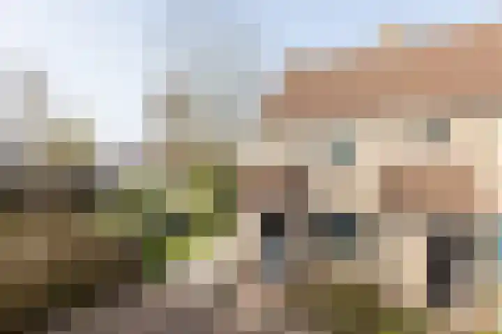 Lijsterstraat 43 Neede thumbnail 51
