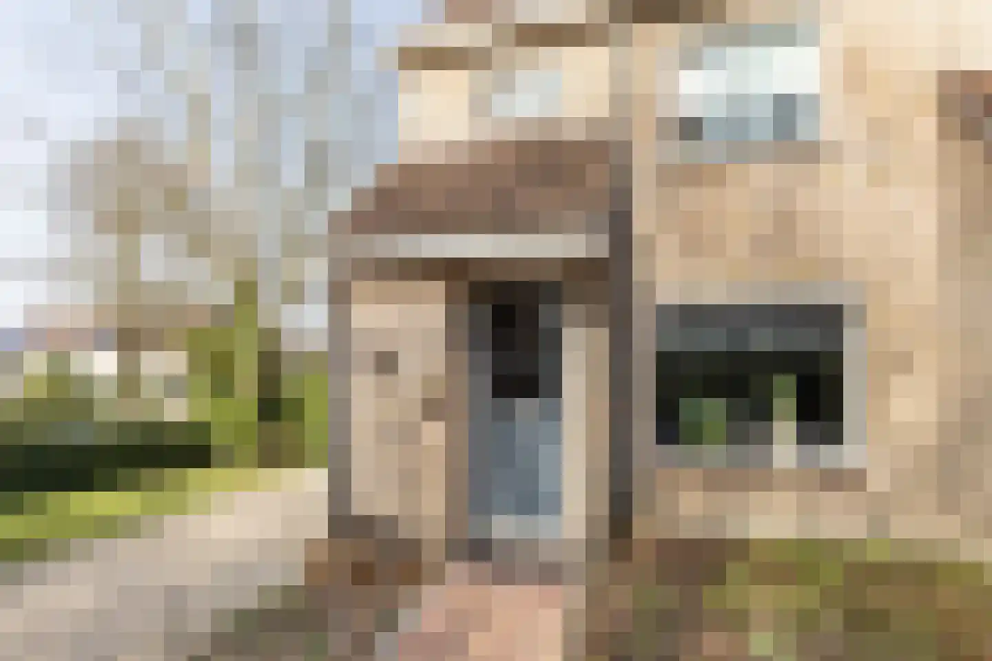 Lijsterstraat 43 Neede thumbnail 52