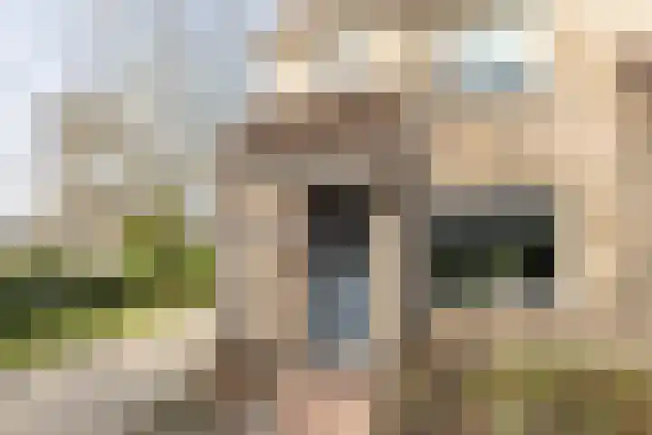 Lijsterstraat 43 Neede thumbnail 52