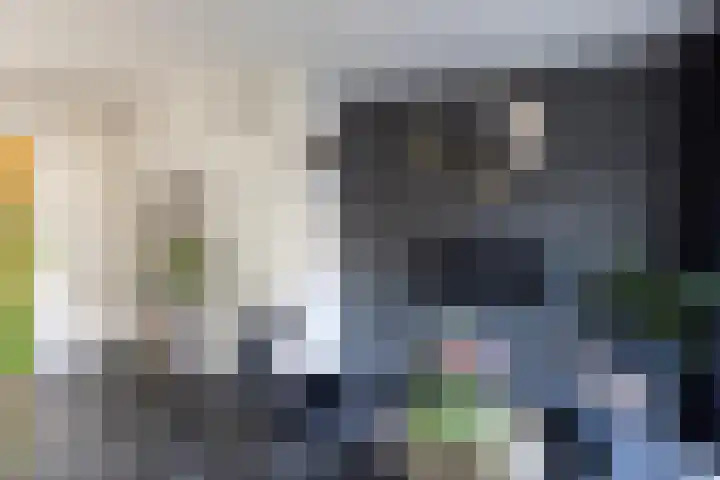 Lijsterstraat 43 Neede thumbnail 6