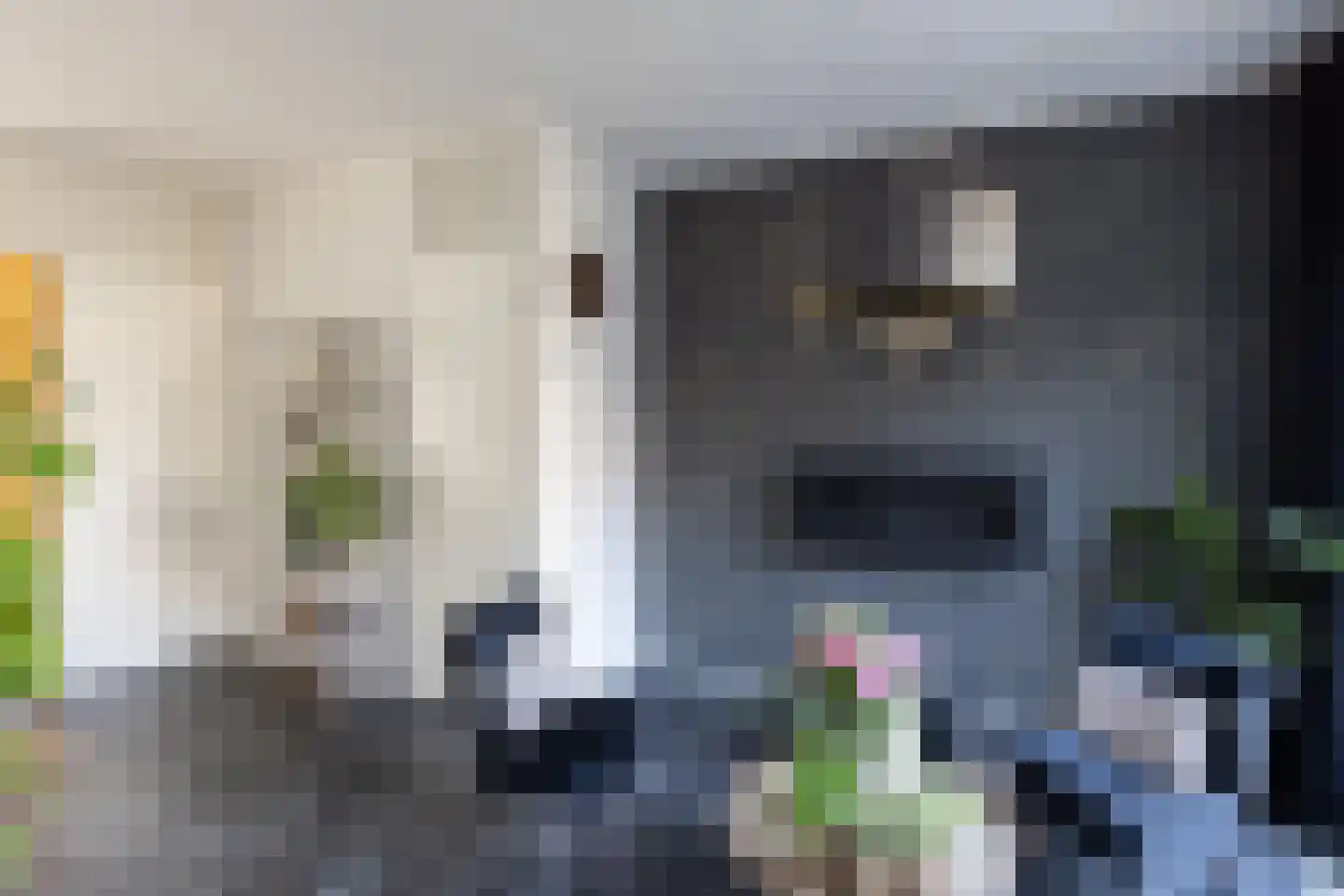 Lijsterstraat 43 Neede thumbnail 6