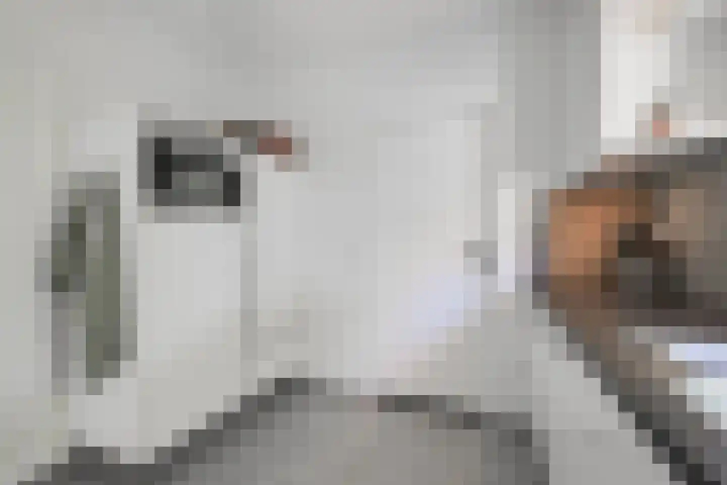Lijsterstraat 47 Varsseveld thumbnail 32