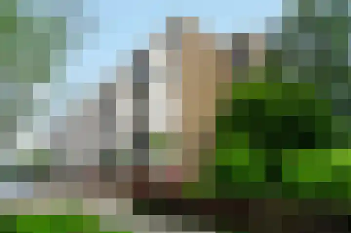 Lijsterstraat 48 Wormerveer thumbnail 34