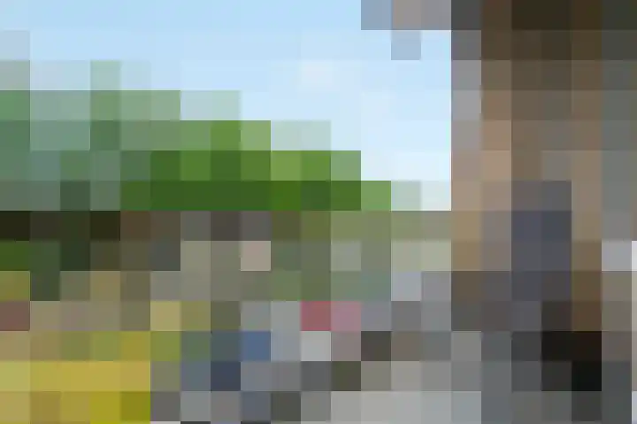 Lijsterstraat 48 Wormerveer thumbnail 4