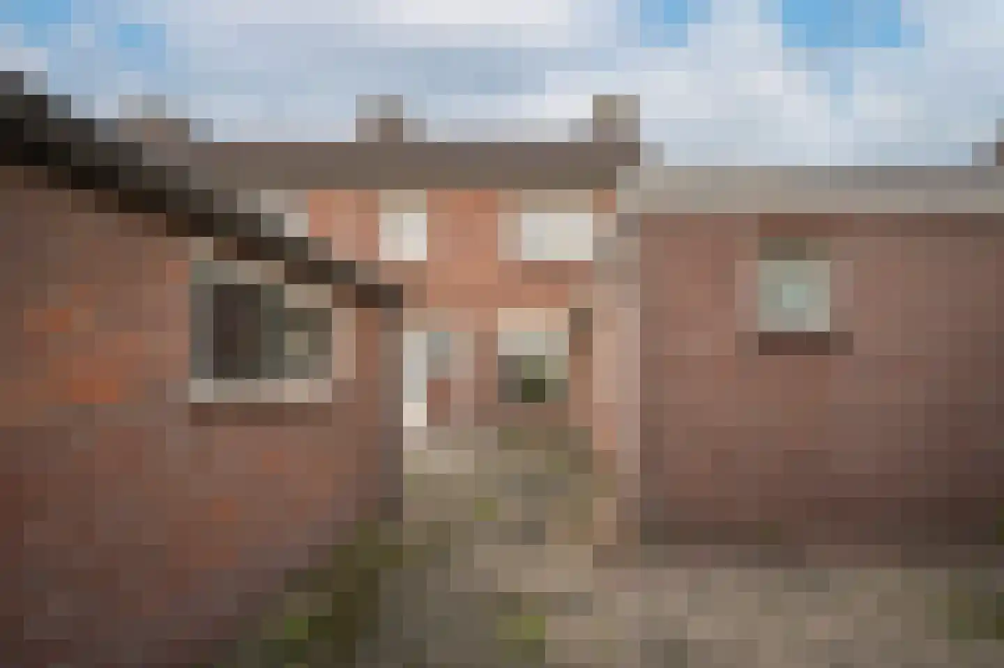 Lijsterstraat 5 Opheusden thumbnail 26
