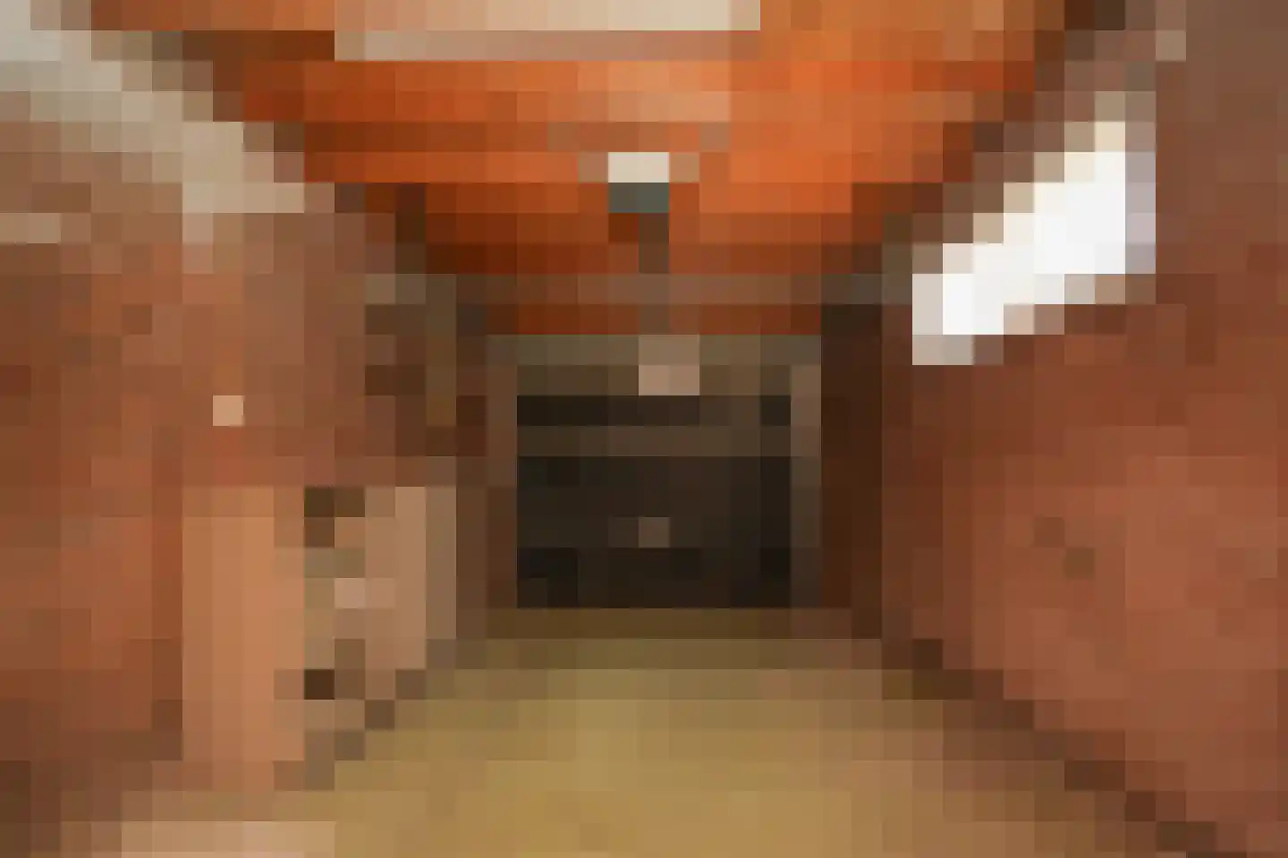 Lijsterstraat 5 Opheusden thumbnail 27