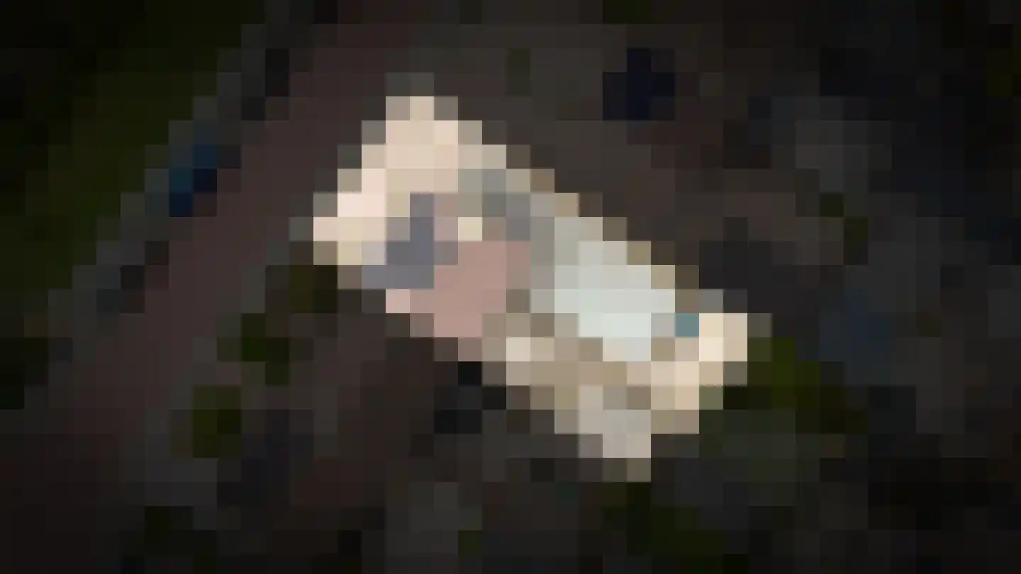 Lijsterstraat 5 Opheusden thumbnail 33