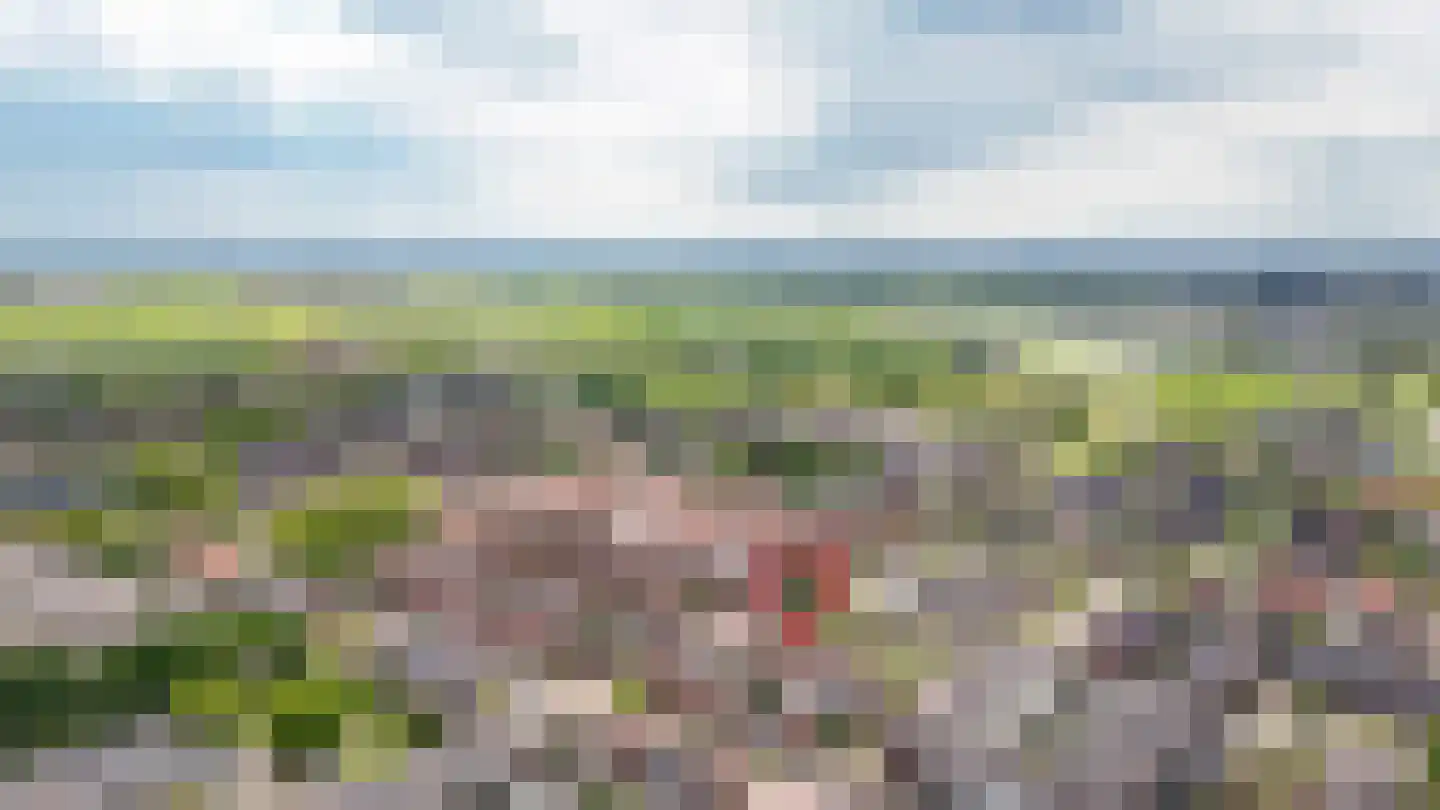 Lijsterstraat 5 Opheusden thumbnail 35