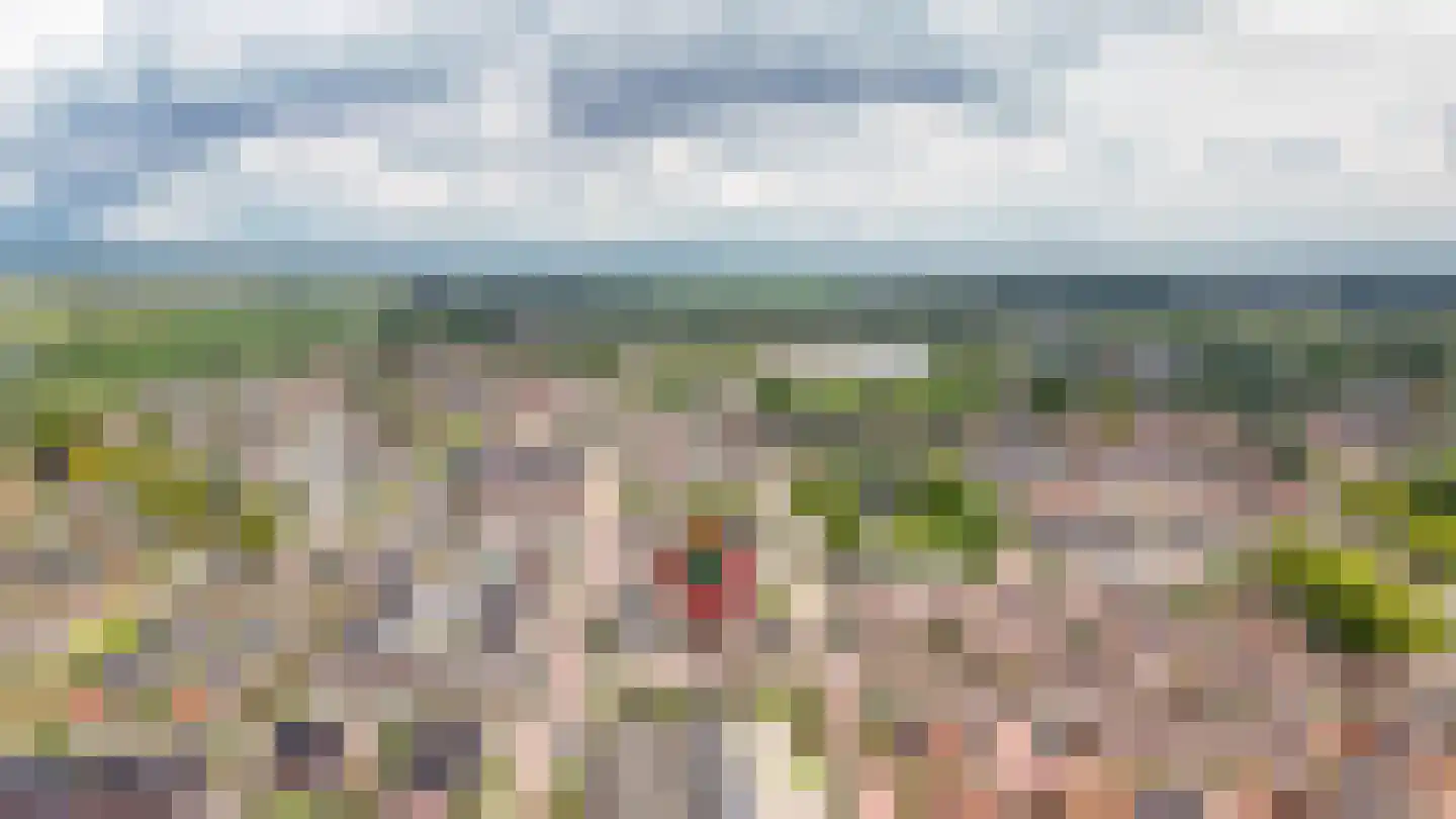 Lijsterstraat 5 Opheusden thumbnail 36