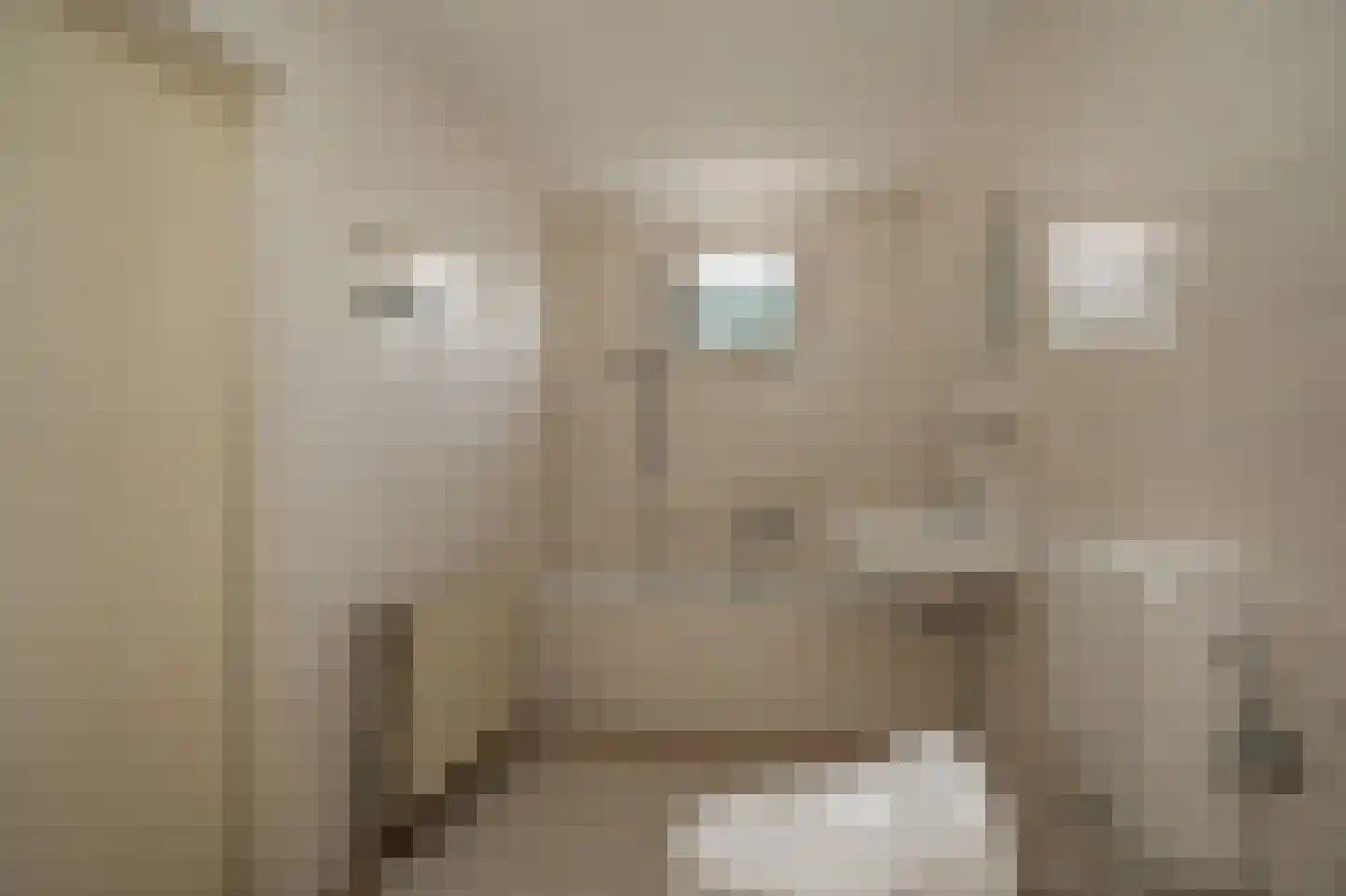 Lijsterstraat 5 Opheusden thumbnail 4