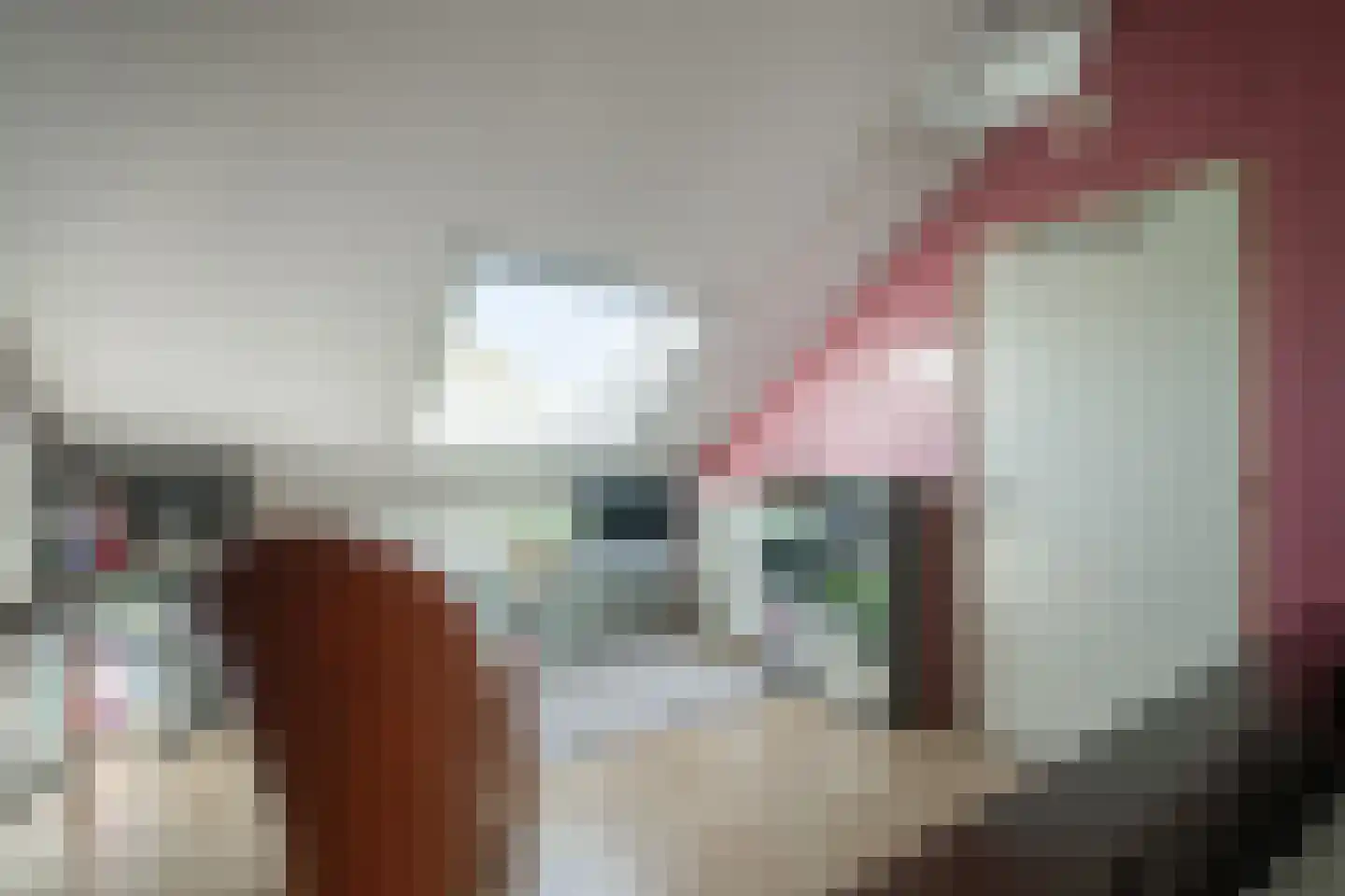 Lijsterstraat 5 Winterswijk thumbnail 38