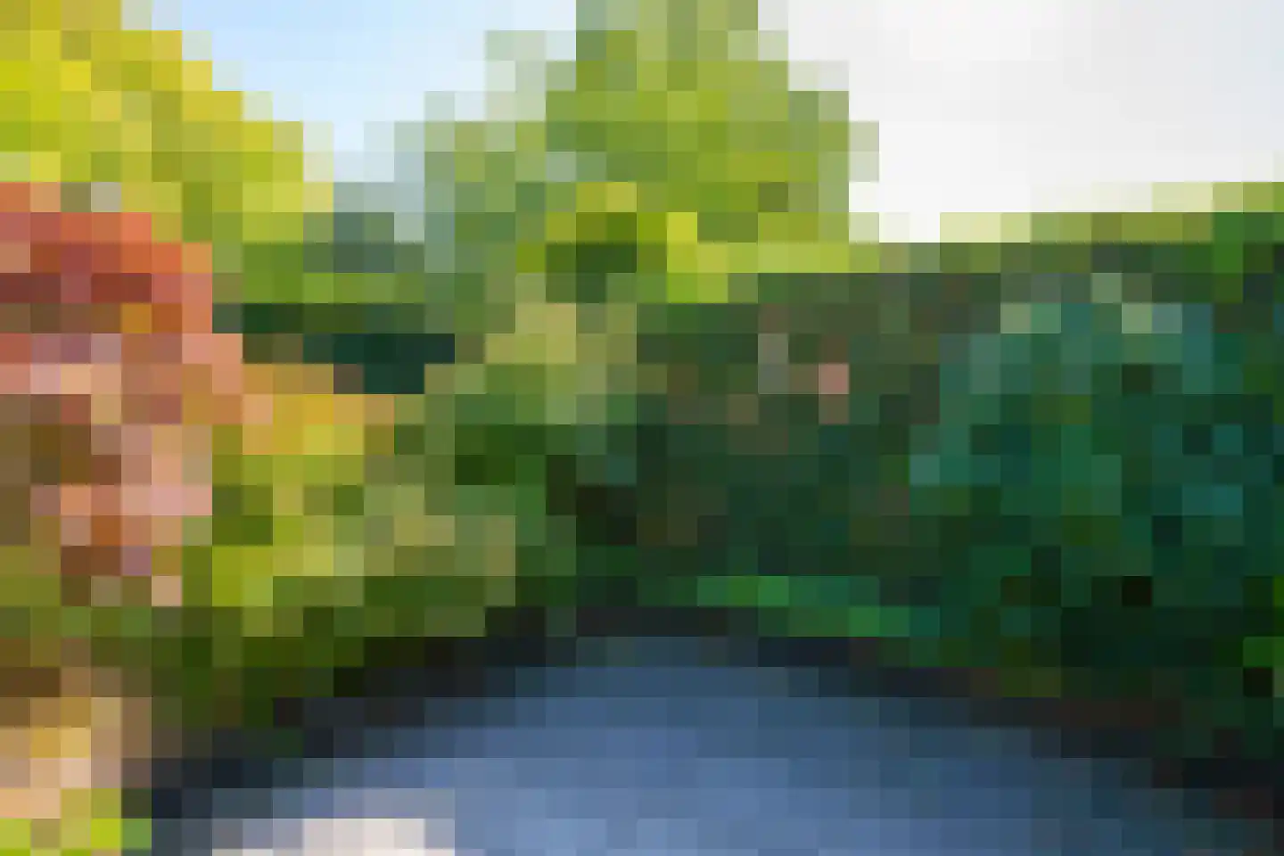Lijsterstraat 5 Winterswijk thumbnail 43