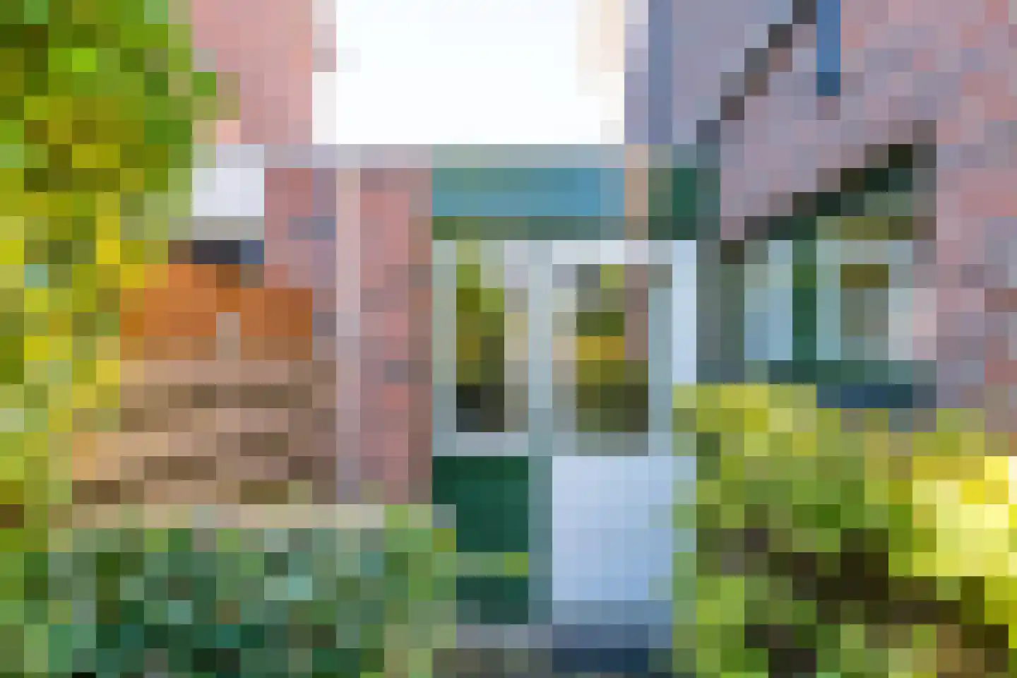 Lijsterstraat 5 Winterswijk thumbnail 46