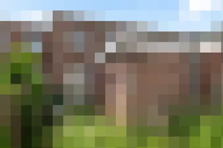 Lijsterstraat 53 Haarlem thumbnail 27