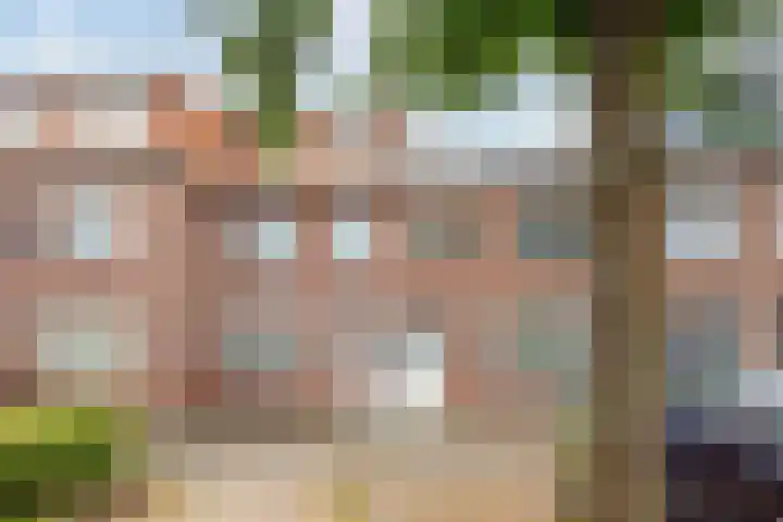 Lijsterstraat 54 in Haarlem