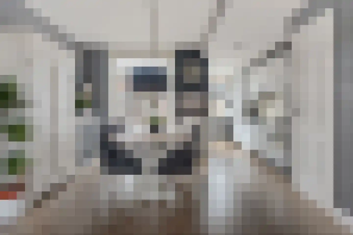 Lijsterstraat 54 Haarlem thumbnail 11