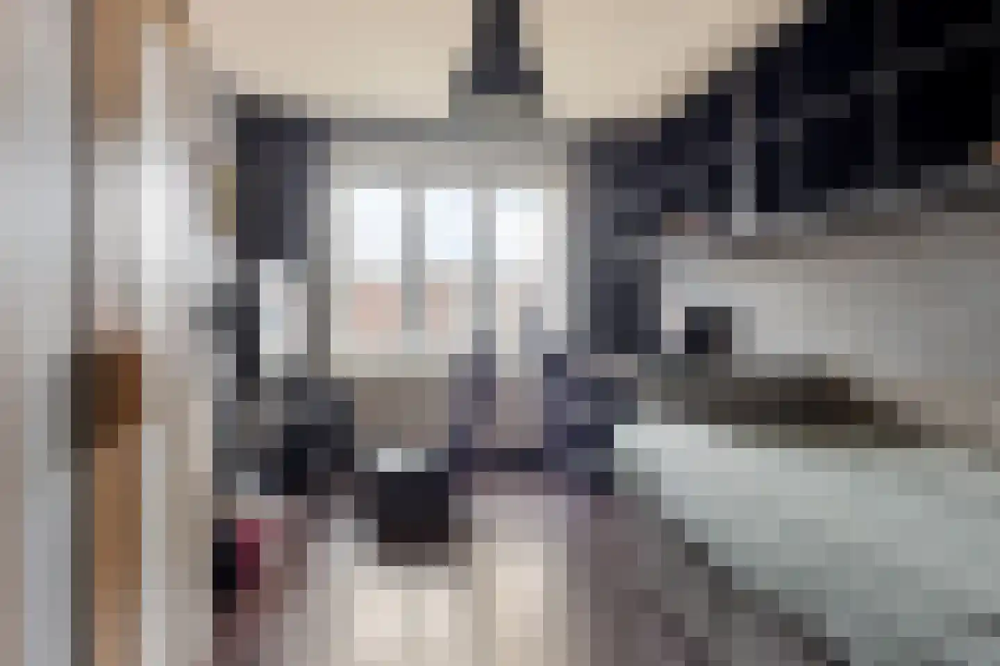 Lijsterstraat 54 Haarlem thumbnail 19