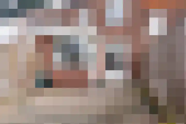 Lijsterstraat 54 Haarlem thumbnail 33