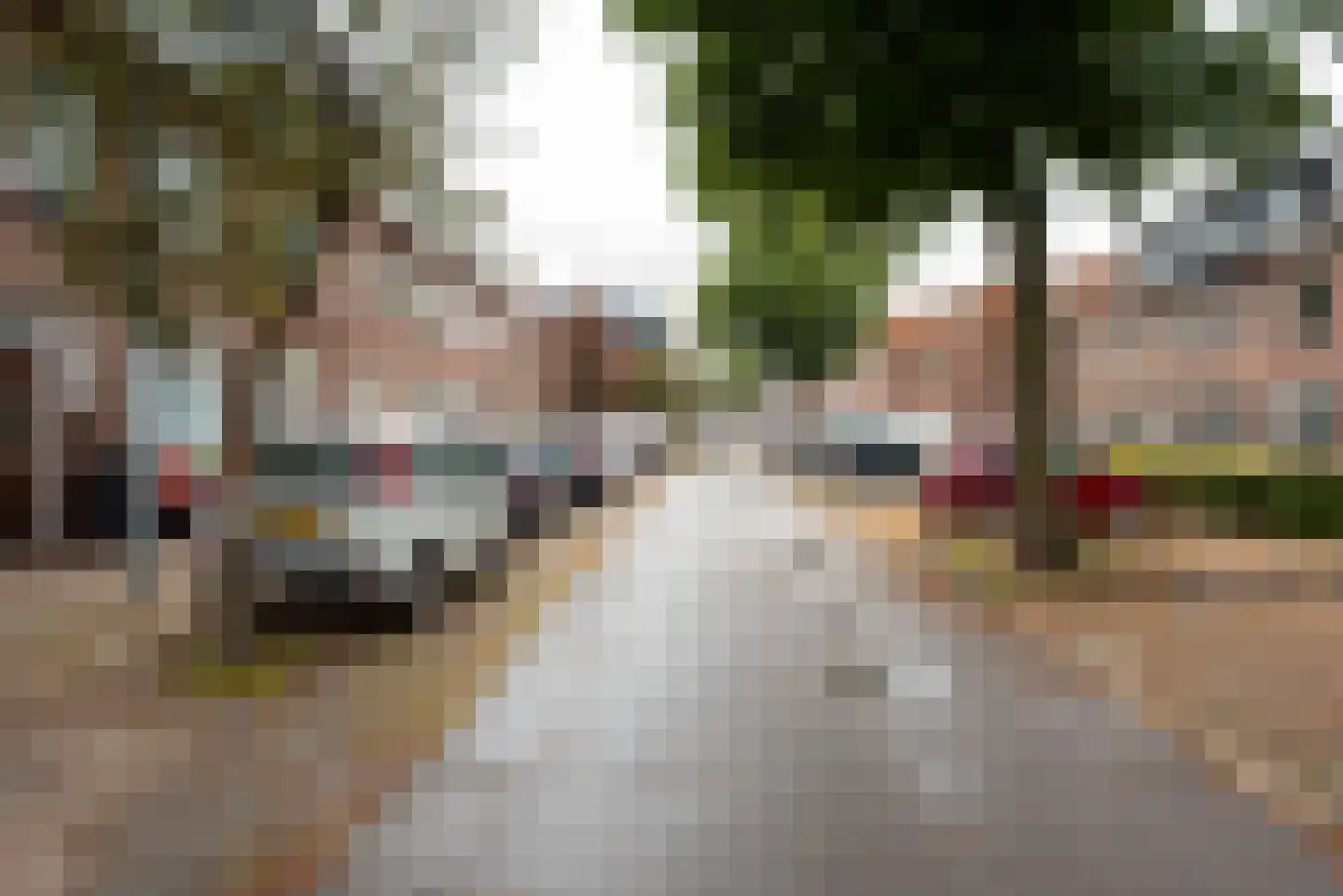 Lijsterstraat 54 Haarlem thumbnail 39