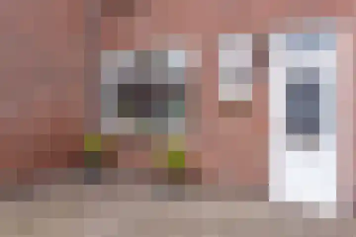 Lijsterstraat 54 Haarlem thumbnail 6