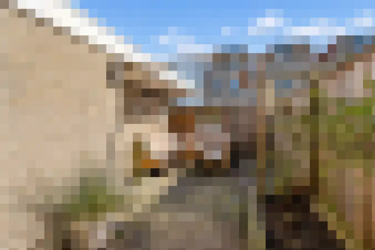 Lijsterstraat 56 Neede thumbnail 36