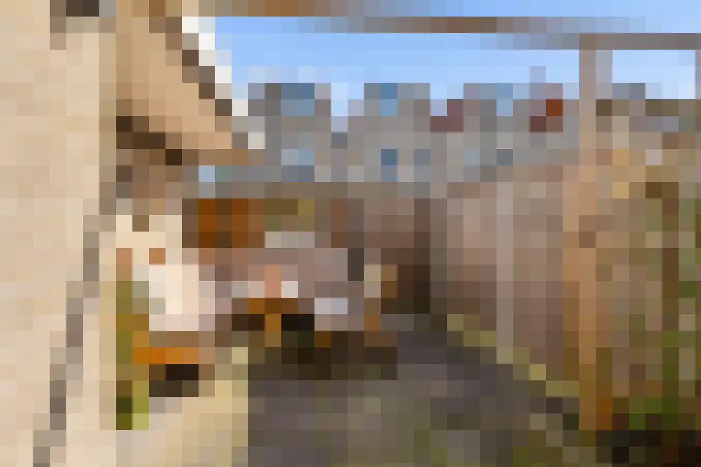 Lijsterstraat 56 Neede thumbnail 37