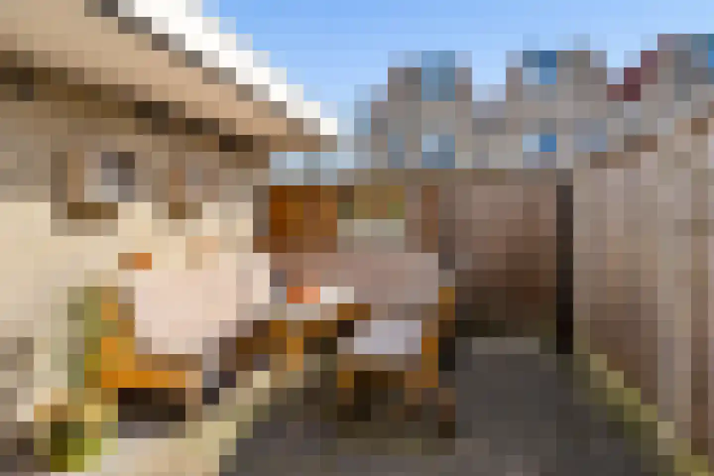 Lijsterstraat 56 Neede thumbnail 40