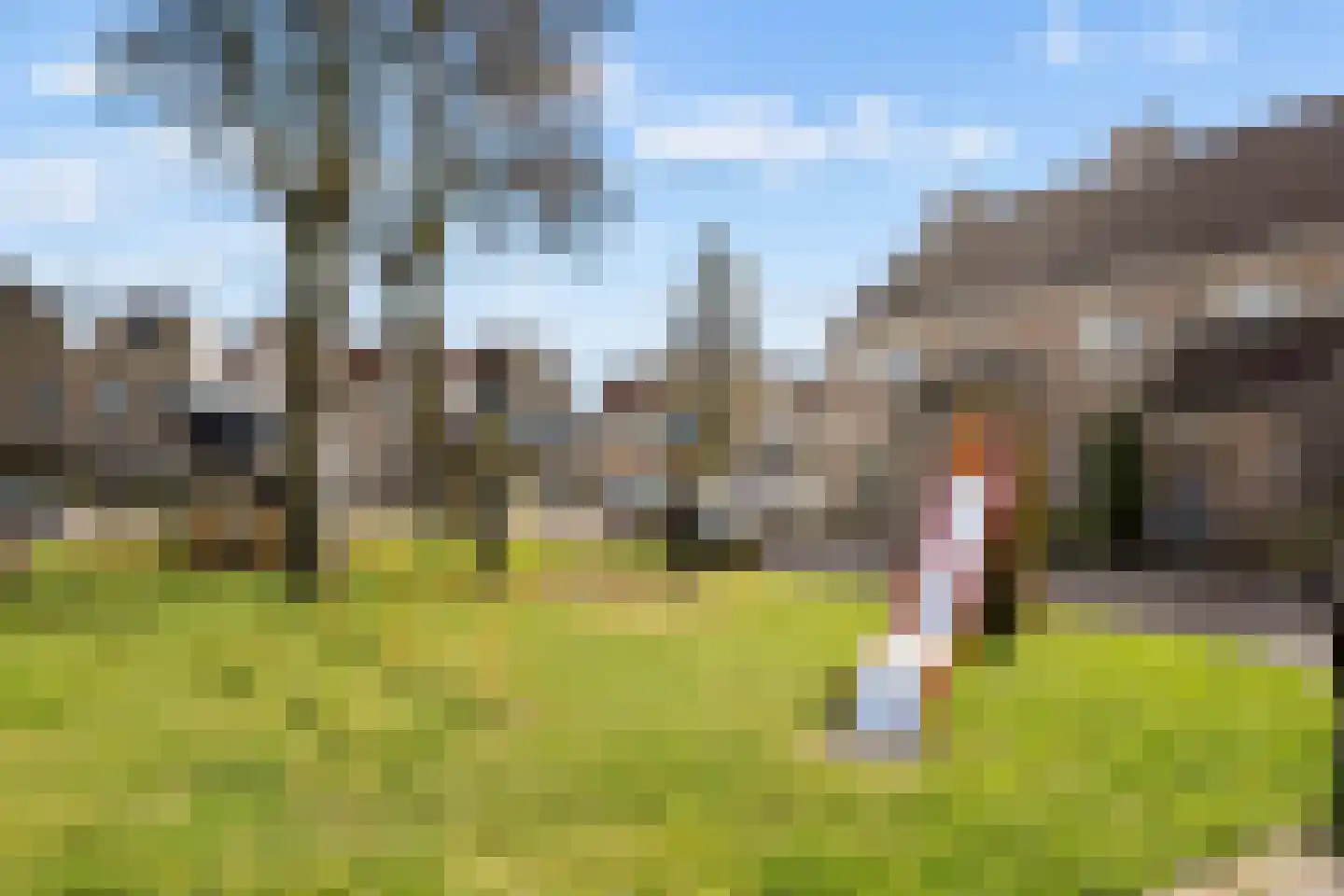Lijsterstraat 56 Neede thumbnail 43