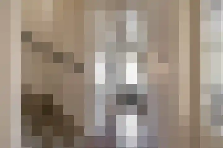 Lijsterstraat 6 Norg thumbnail 12