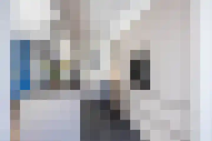 Lijsterstraat 6 Norg thumbnail 23