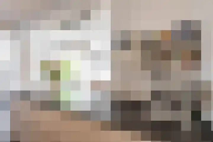 Lijsterstraat 6 Norg thumbnail 25