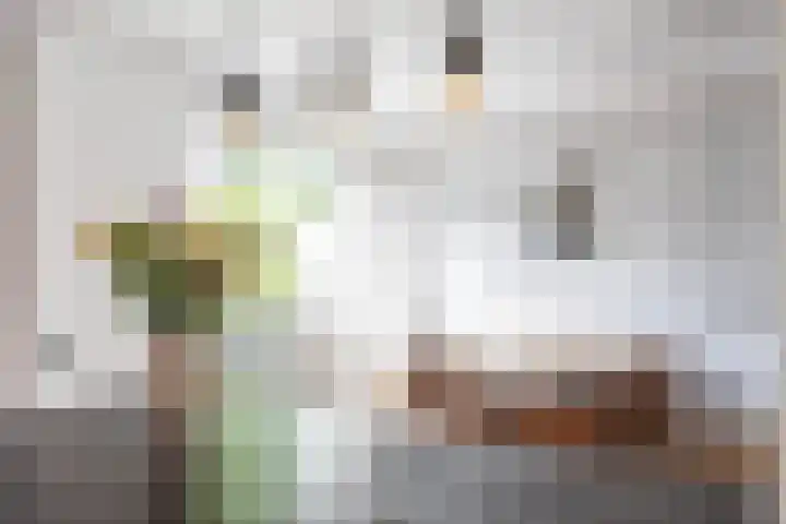 Lijsterstraat 6 Norg thumbnail 26