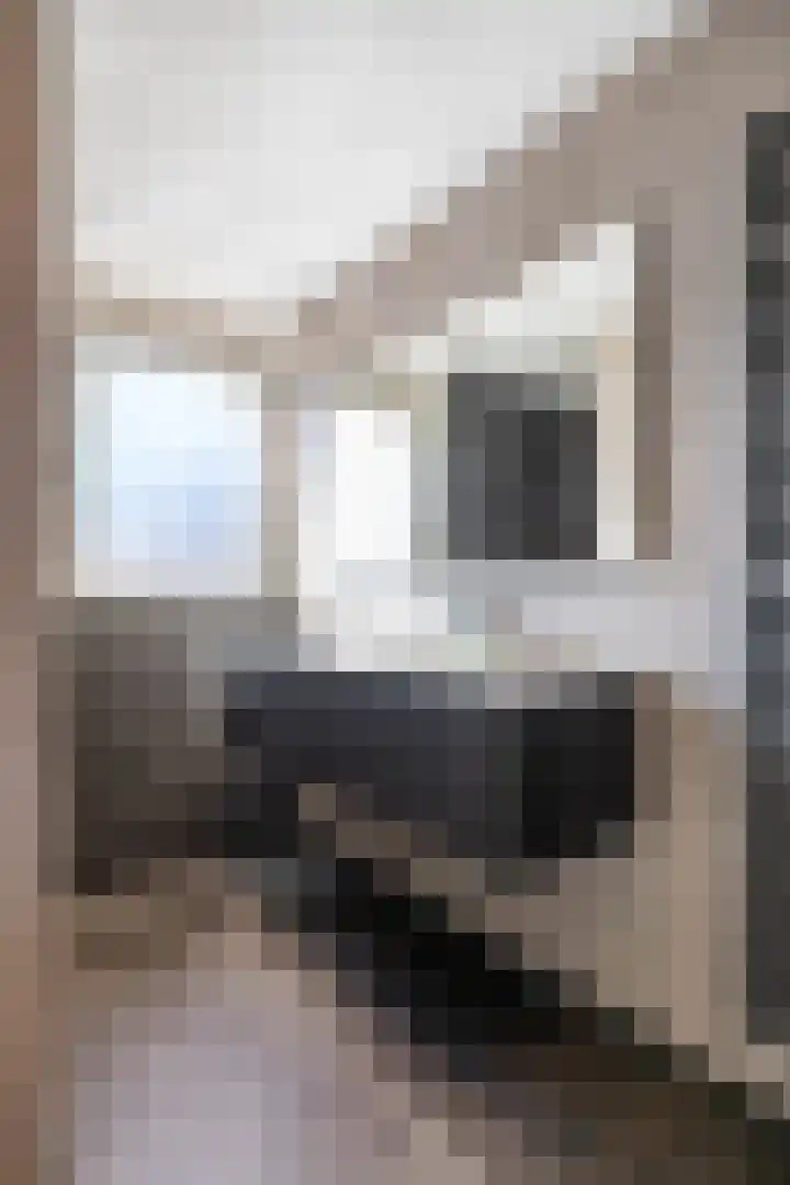 Lijsterstraat 6 Norg thumbnail 38