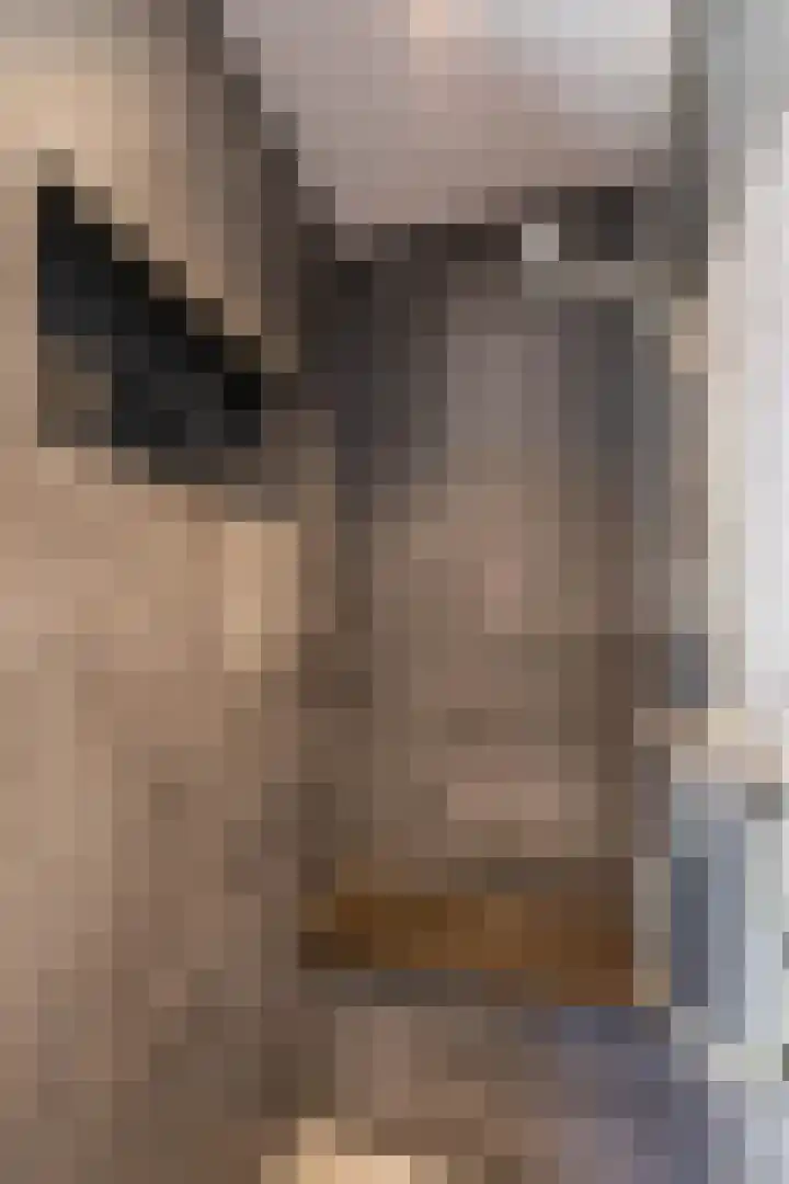 Lijsterstraat 6 Norg thumbnail 39