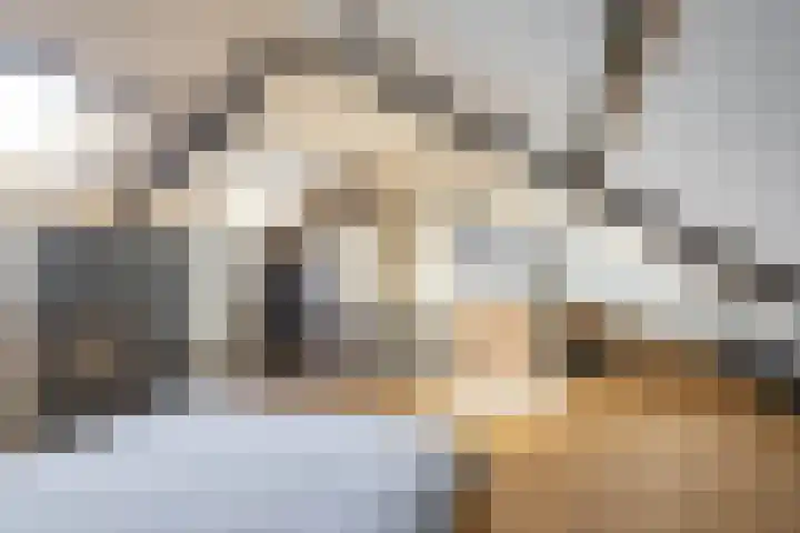 Lijsterstraat 6 Norg thumbnail 44