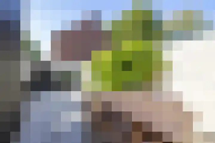 Lijsterstraat 6 Norg thumbnail 45