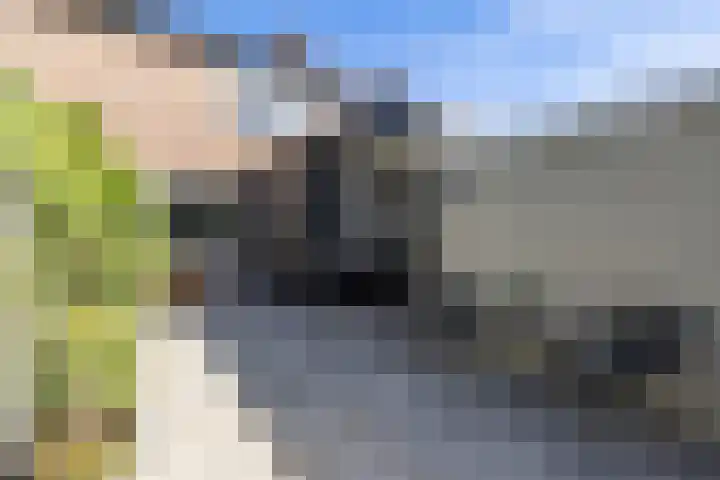 Lijsterstraat 6 Norg thumbnail 5