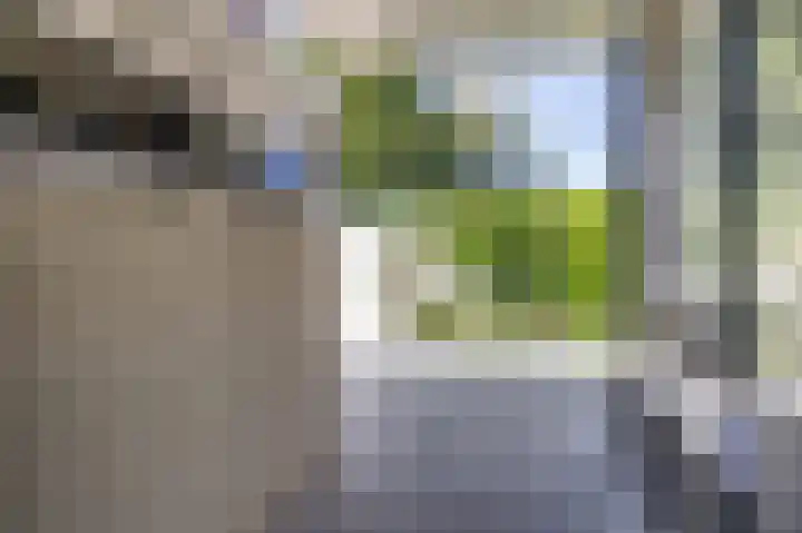 Lijsterstraat 6 Norg thumbnail 50