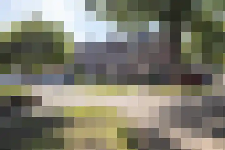 Lijsterstraat 6 Norg thumbnail 6