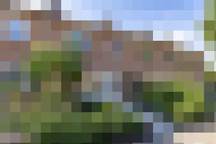 Lijsterstraat 6 Norg thumbnail 8