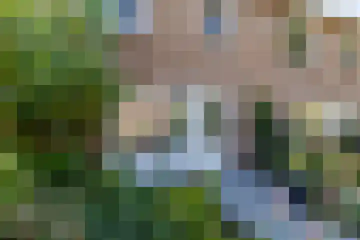 Lijsterstraat 6 Norg thumbnail 9